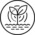 Bioestimulantes y Fertilizantes Especiales