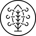 Microelementos