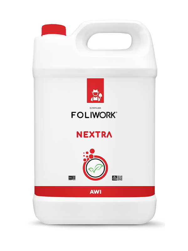 FOLIWORK NEXTRA 