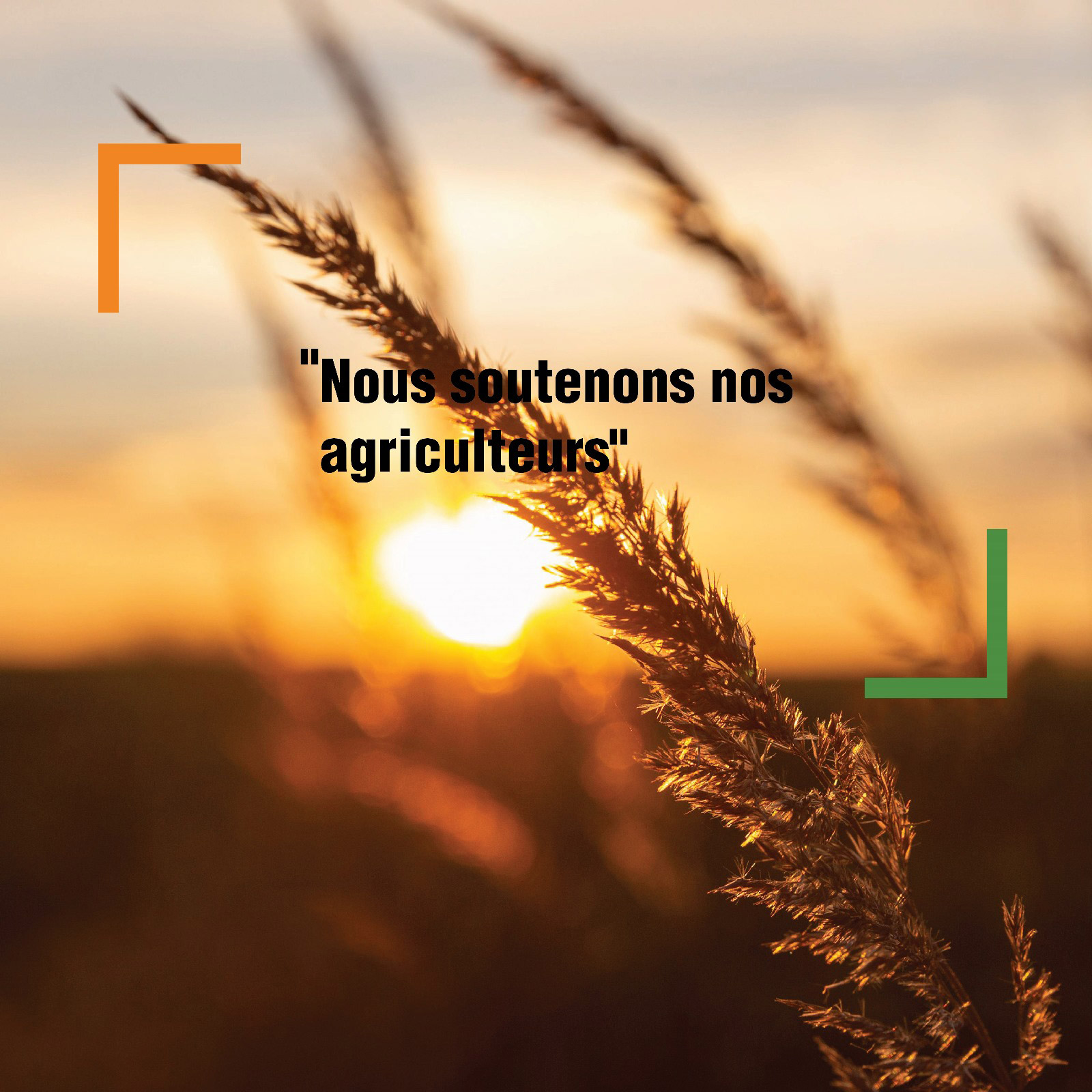 À propos de nous