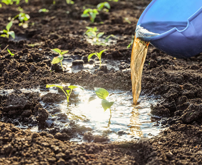 Fertilizantes líquidos y en suspensión