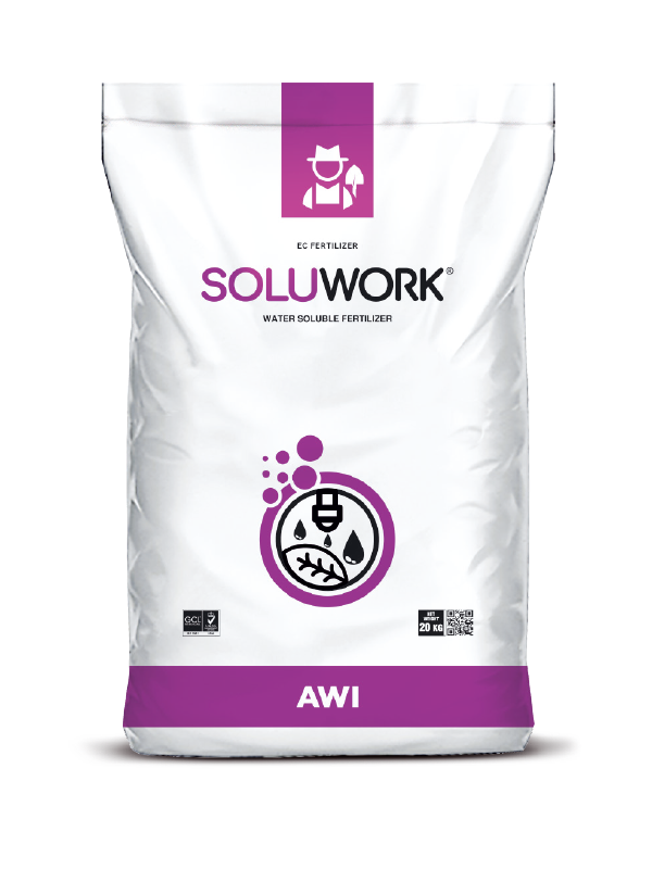 SOLUWORK